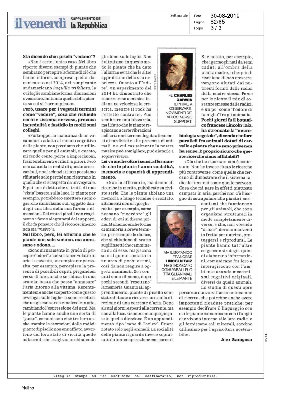 Castiello, La mente delle piante, Il Venerdì di Repubblica, 30082019_page-0003